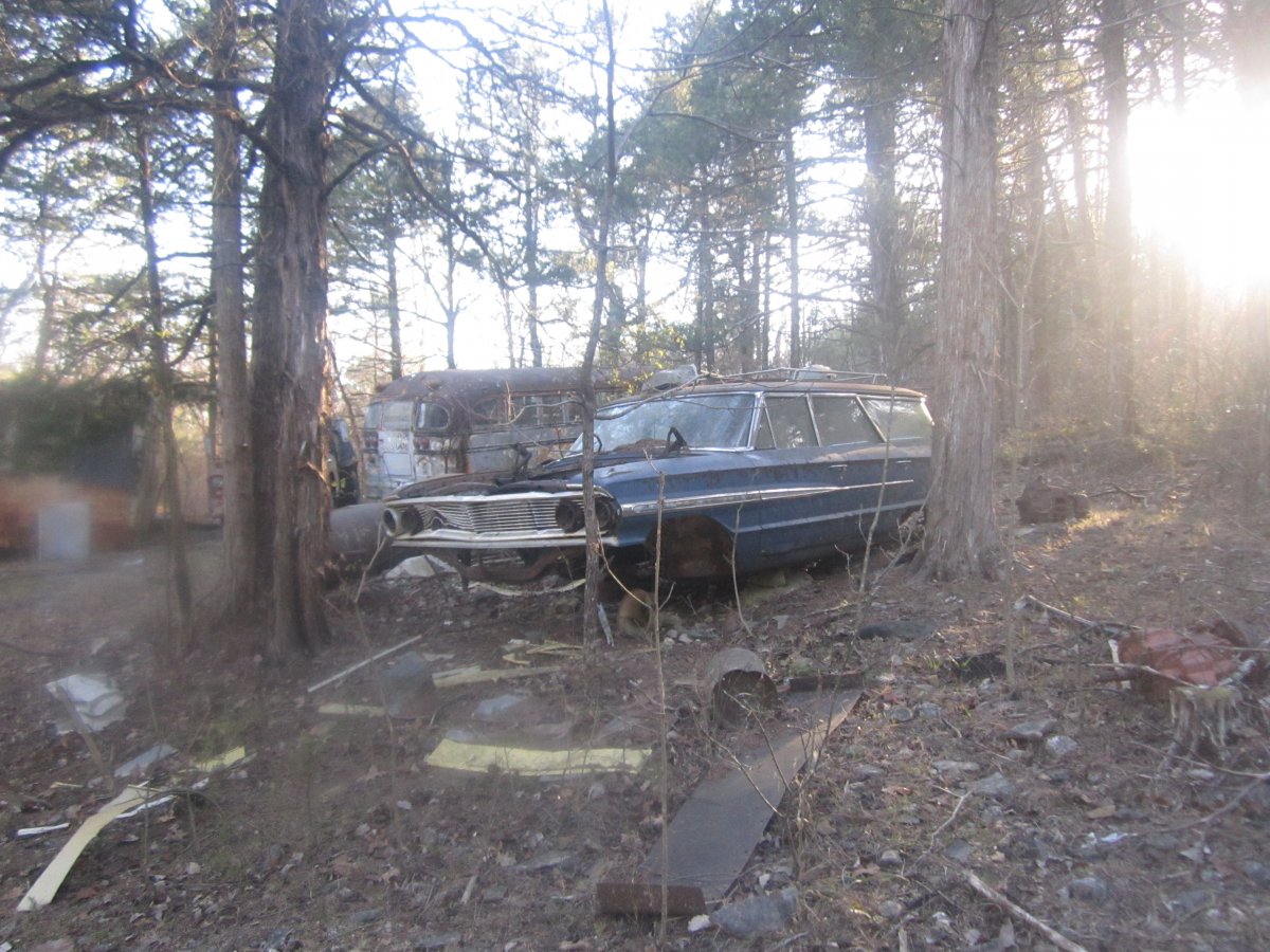 setting & rotting 036.JPG