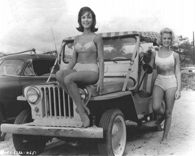 Shelley_Fabares,_Barbara_Eden__Ride_the_Wild_Surf_(1964).jpg