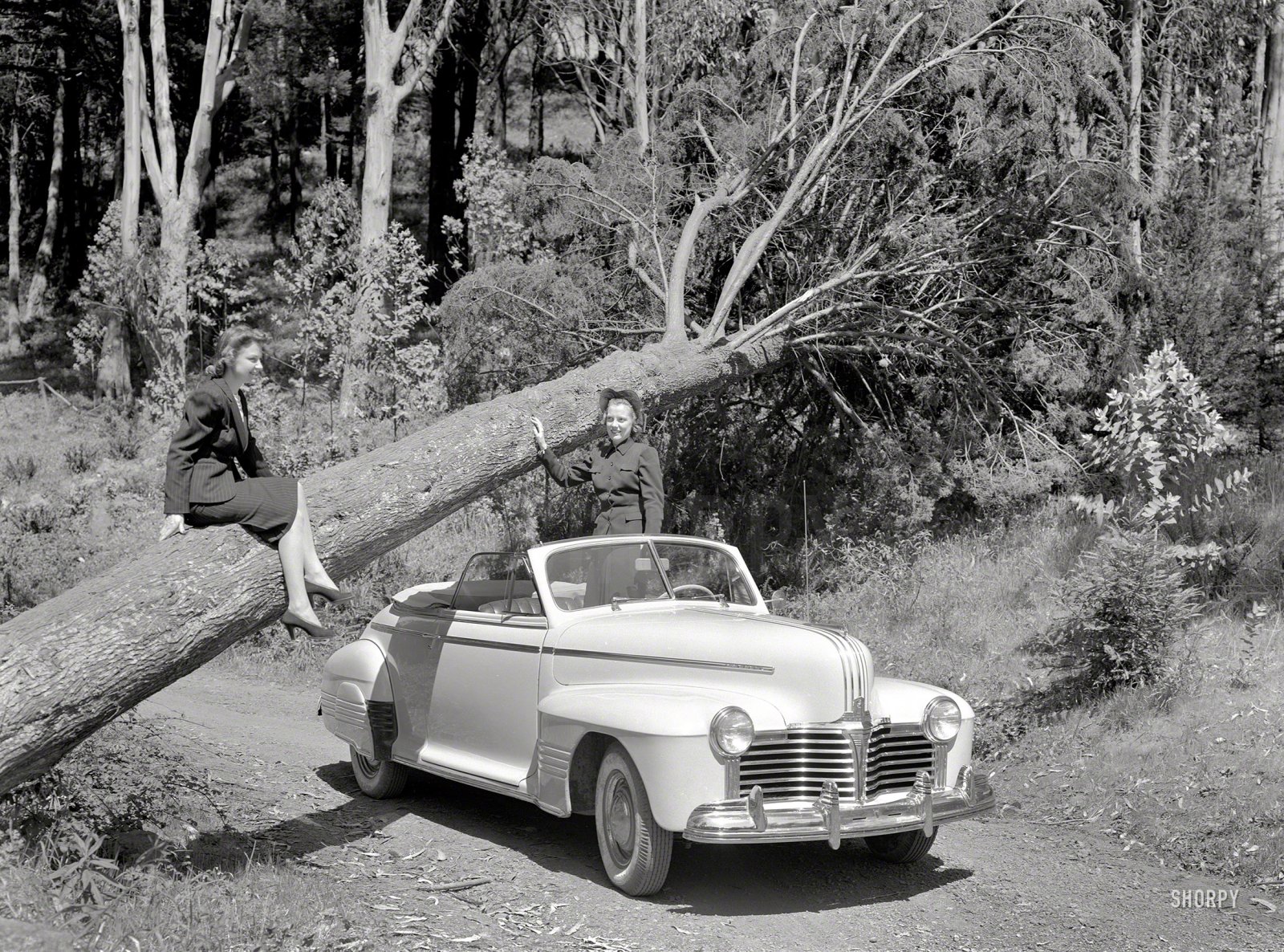 SHORPY-160-02.jpg