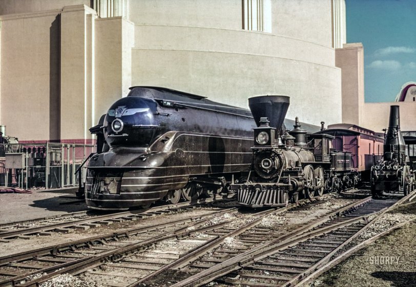SHORPY-5a30943u.preview.jpeg