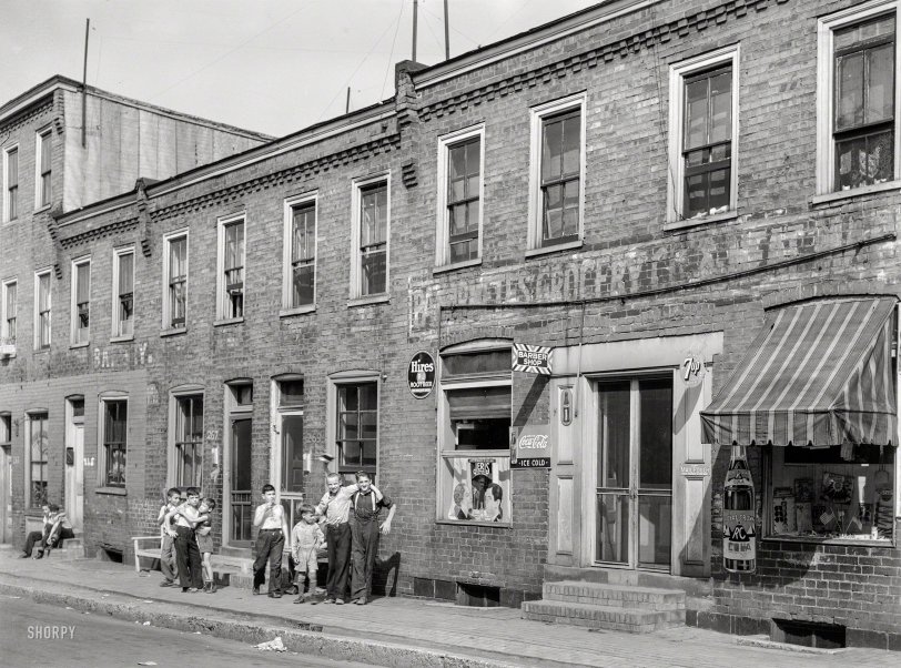 SHORPY-8b17090a.preview.jpeg