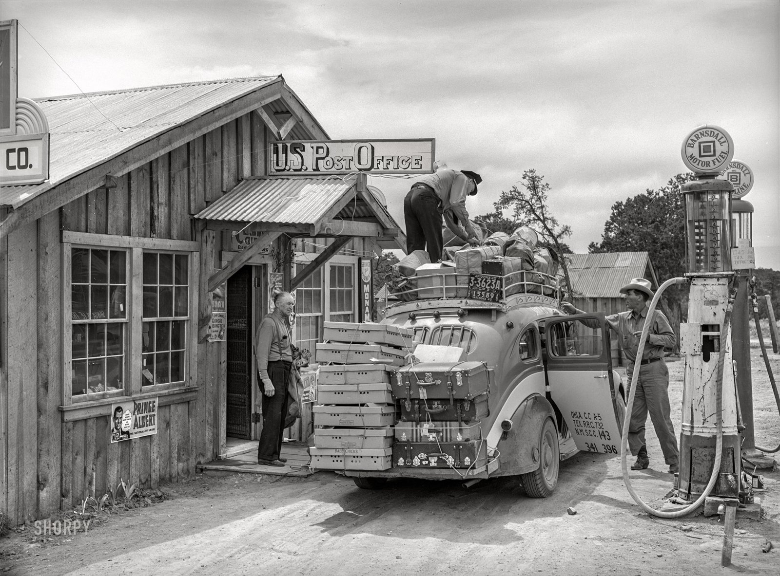 SHORPY-8b25335a.jpg