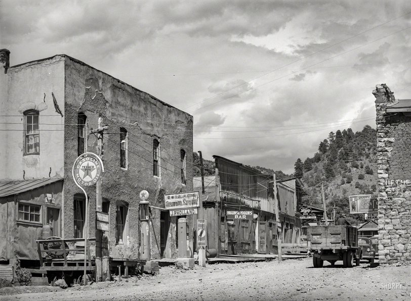 SHORPY-8b25519a.preview.jpeg