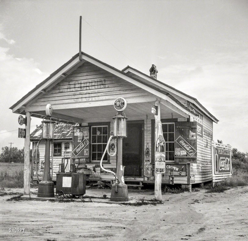 SHORPY-8b34207a1.preview.jpeg