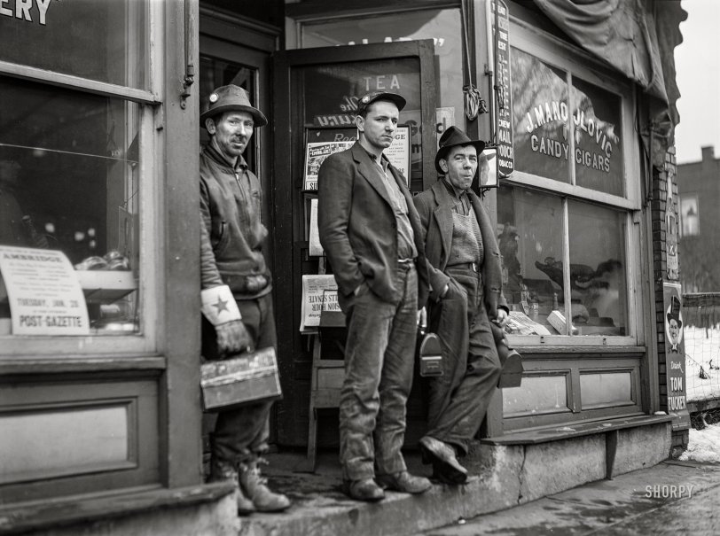 SHORPY-8c18758a.preview.jpeg