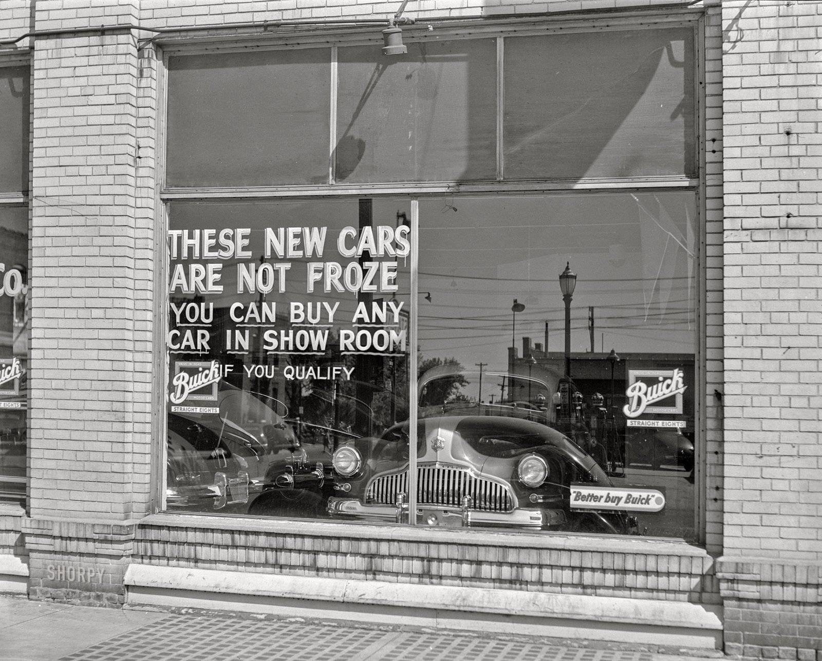 SHORPY-8c22087a.jpg