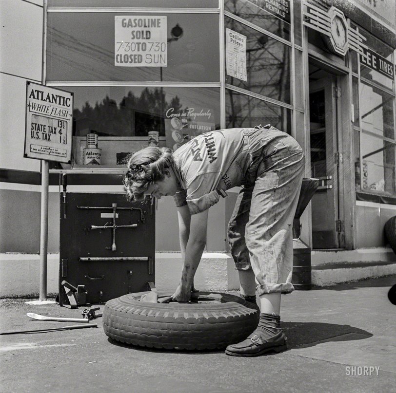 SHORPY-8d31074a.preview.jpg