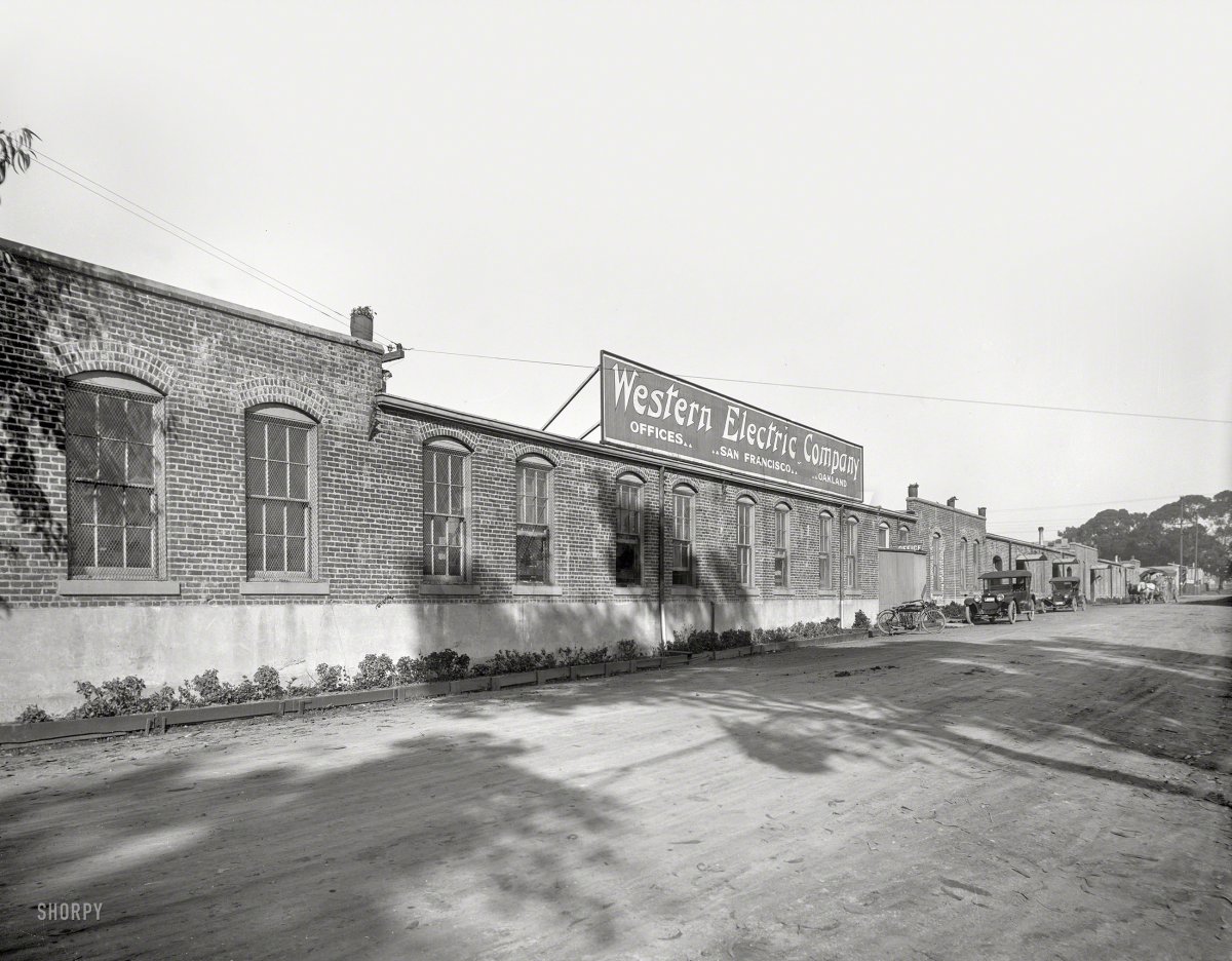 SHORPY-924A.jpg