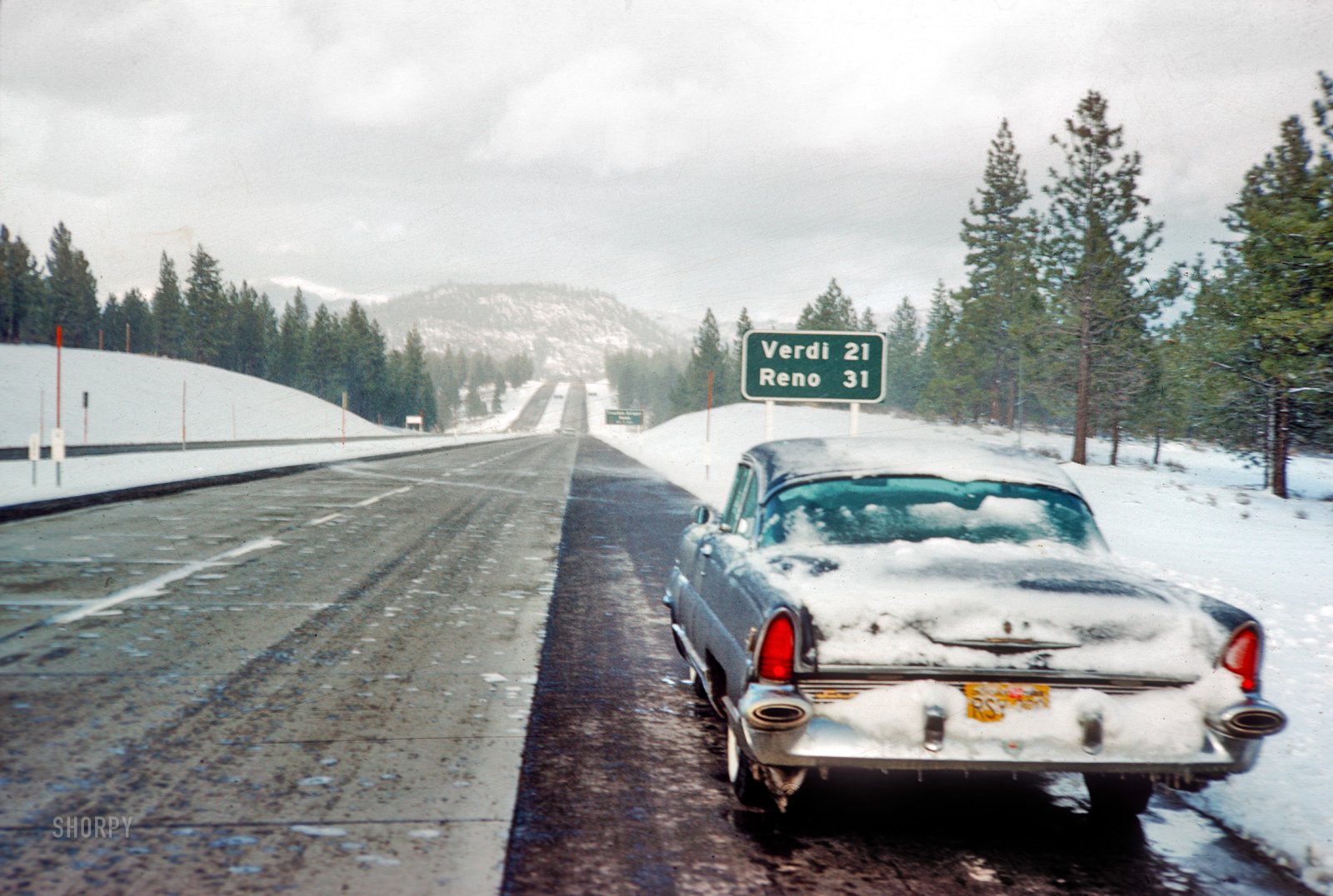 SHORPY-N030.jpg