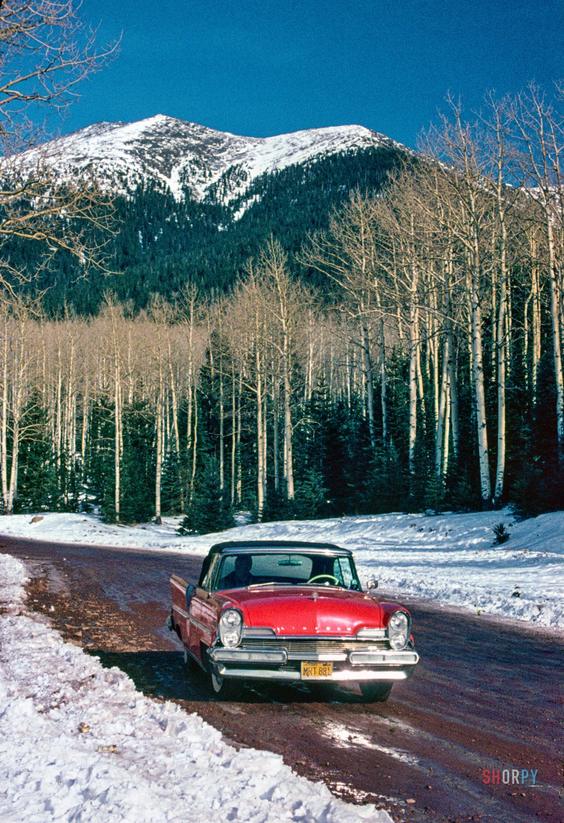 SHORPY-P-0022.jpg