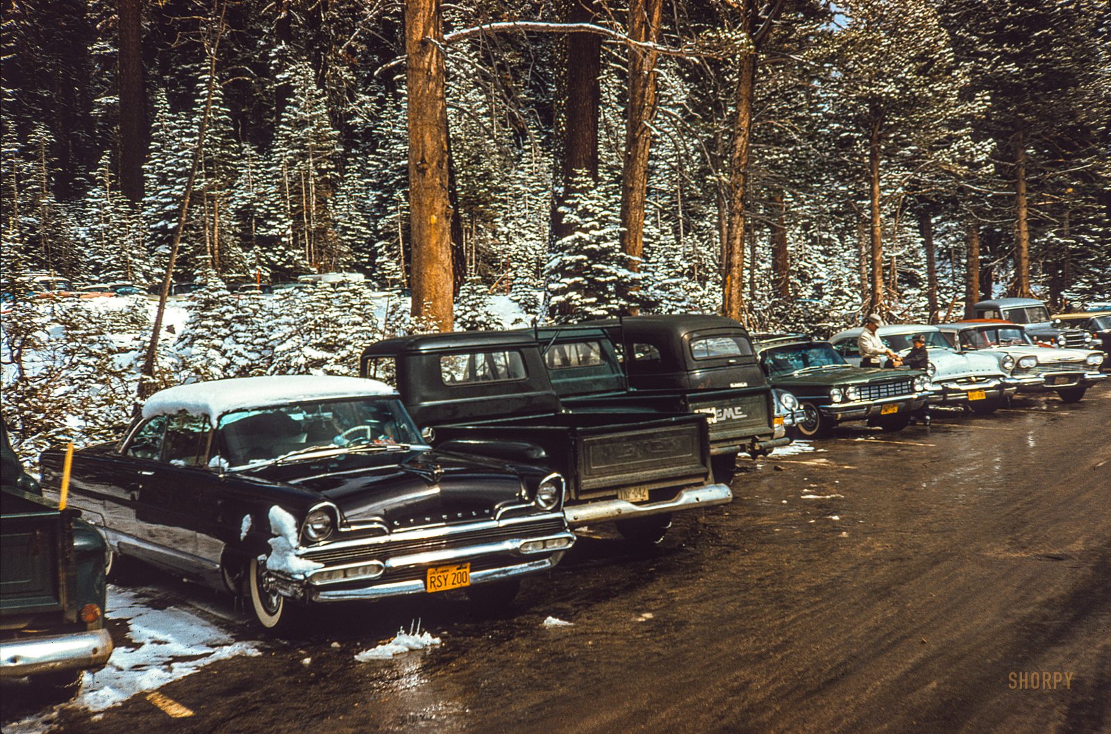 SHORPY-PV-0009.jpg