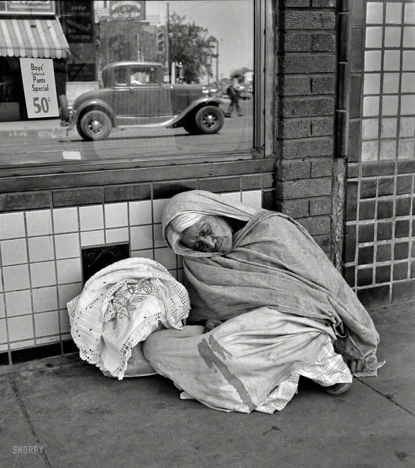 SHORPY_8b32382a1.preview.jpg