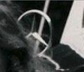 Skärmavbild 2023-10-20 kl. 19.25.22.png