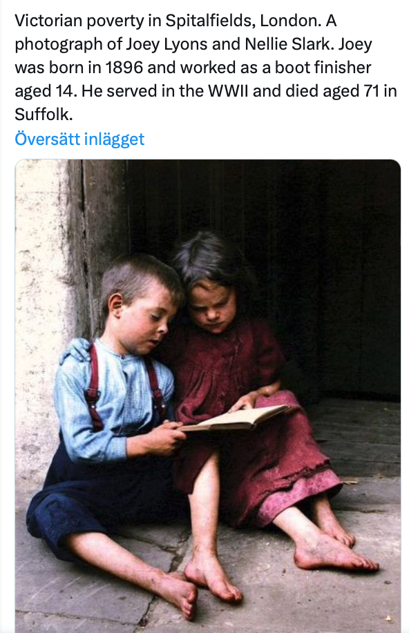 Skärmavbild 2024-05-13 kl. 16.31.55.png