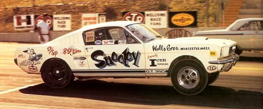 Snoopy DSP 65 Mustang.jpg