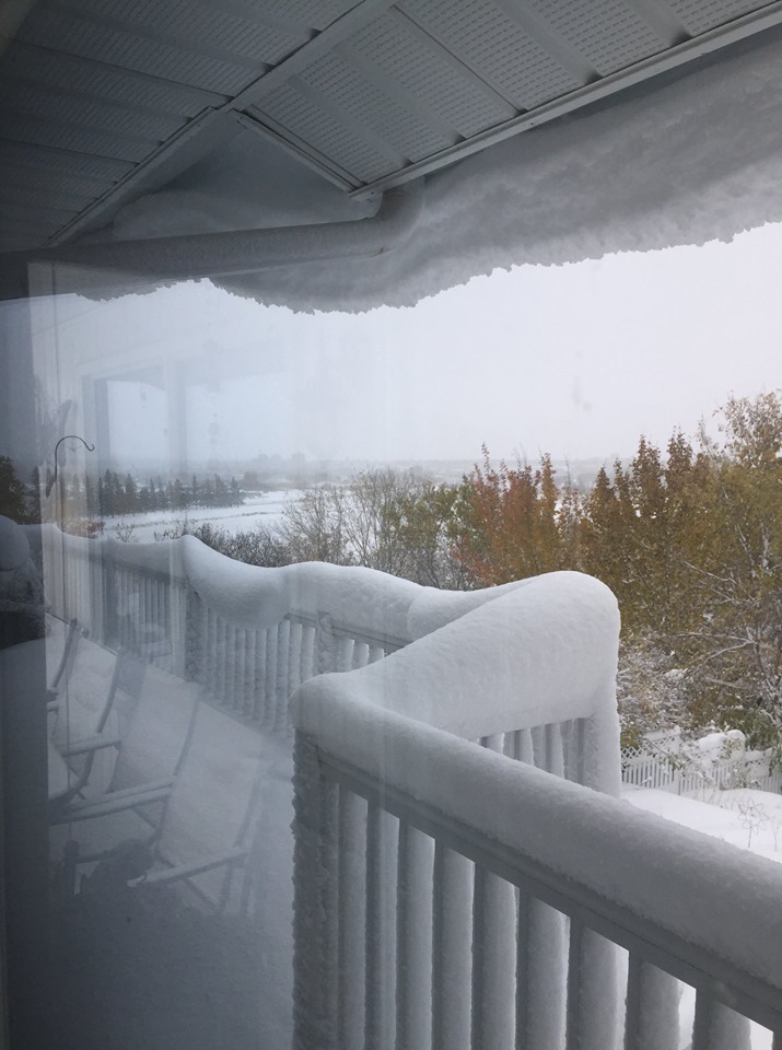 Snow.jpg