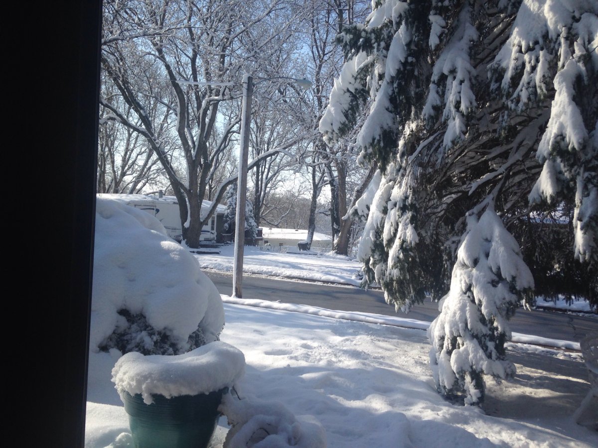 snow4_2020.jpg