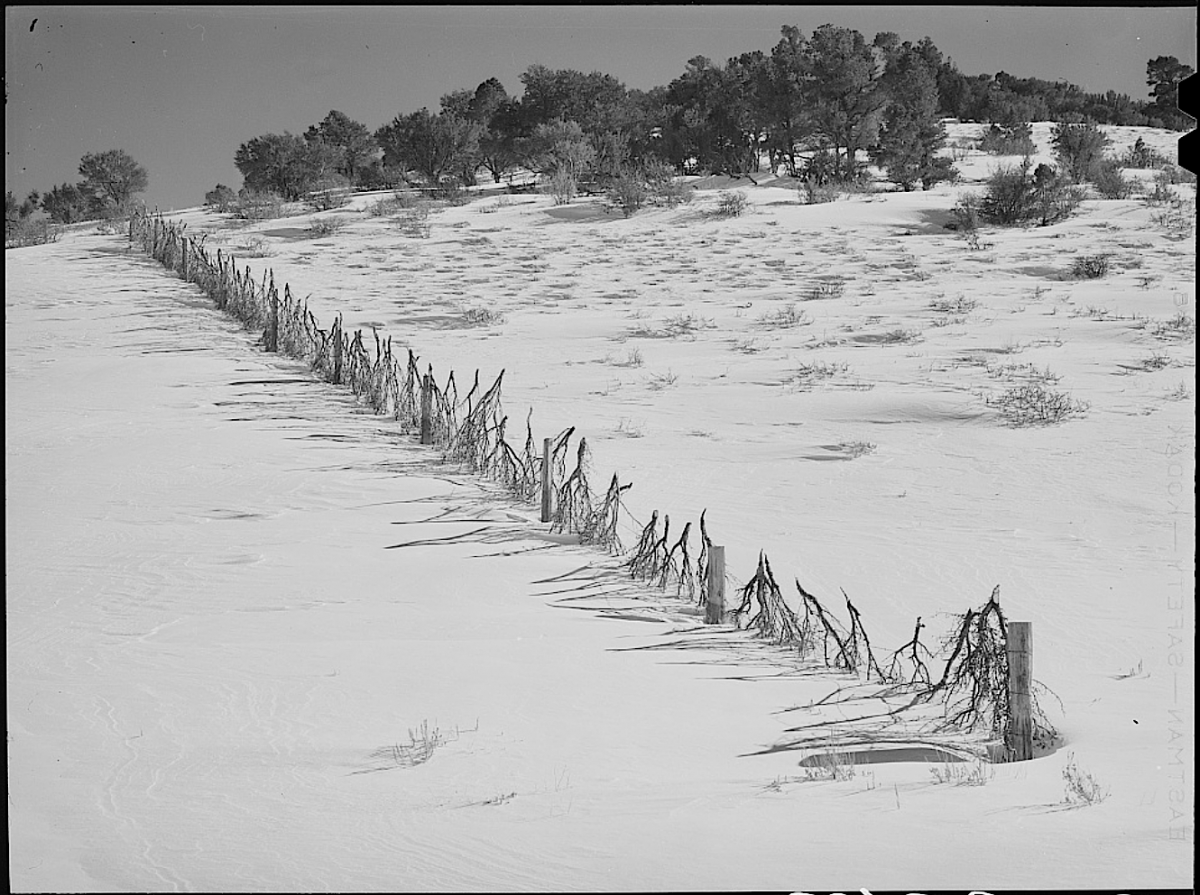 snowfenceSummitCoUT40.png