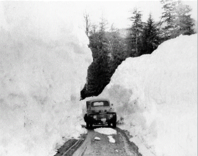 Snowjob.GIF