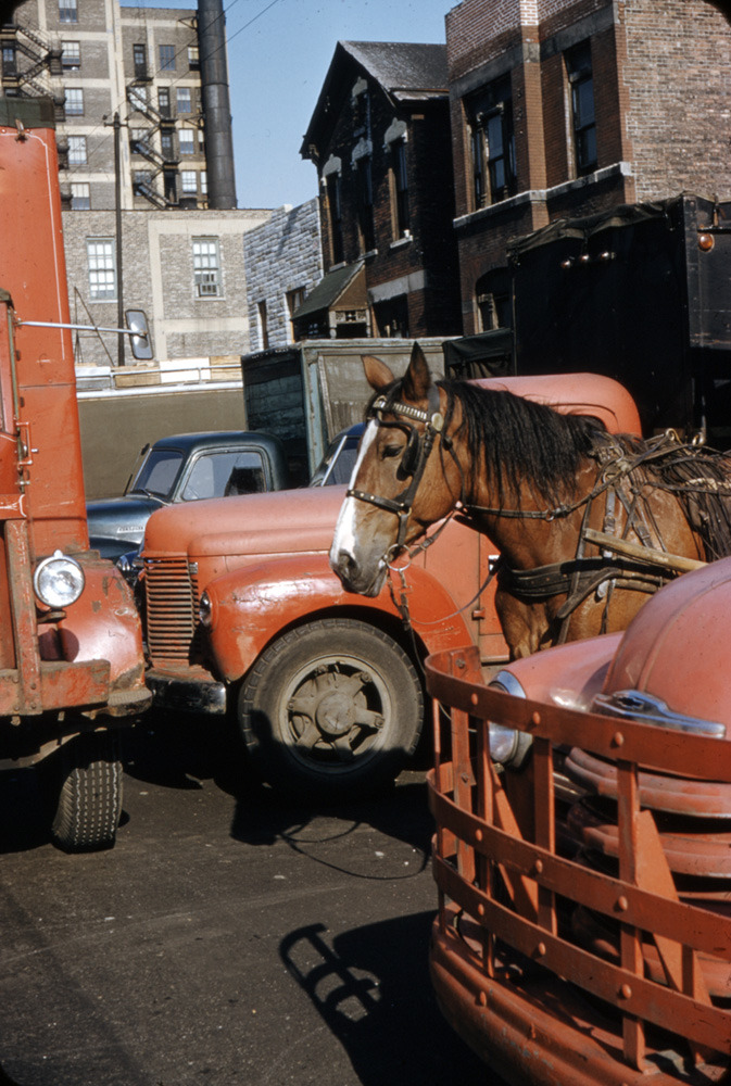 South Water Street Market, Chicago, August 8, 1955.jpg