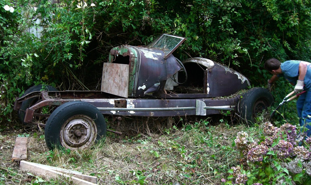 Speedster2_pruning.JPG
