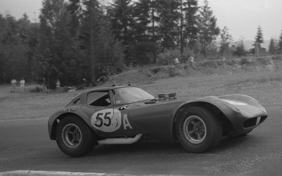 sport bill thomas  cheetah 2.JPG