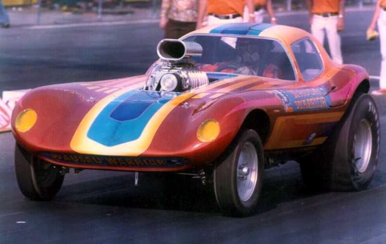 sport bill thomas  cheetah 6.JPG