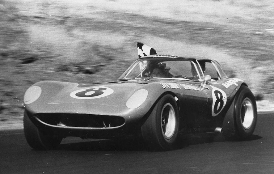 sport bill thomas  cheetah alan green4.JPG