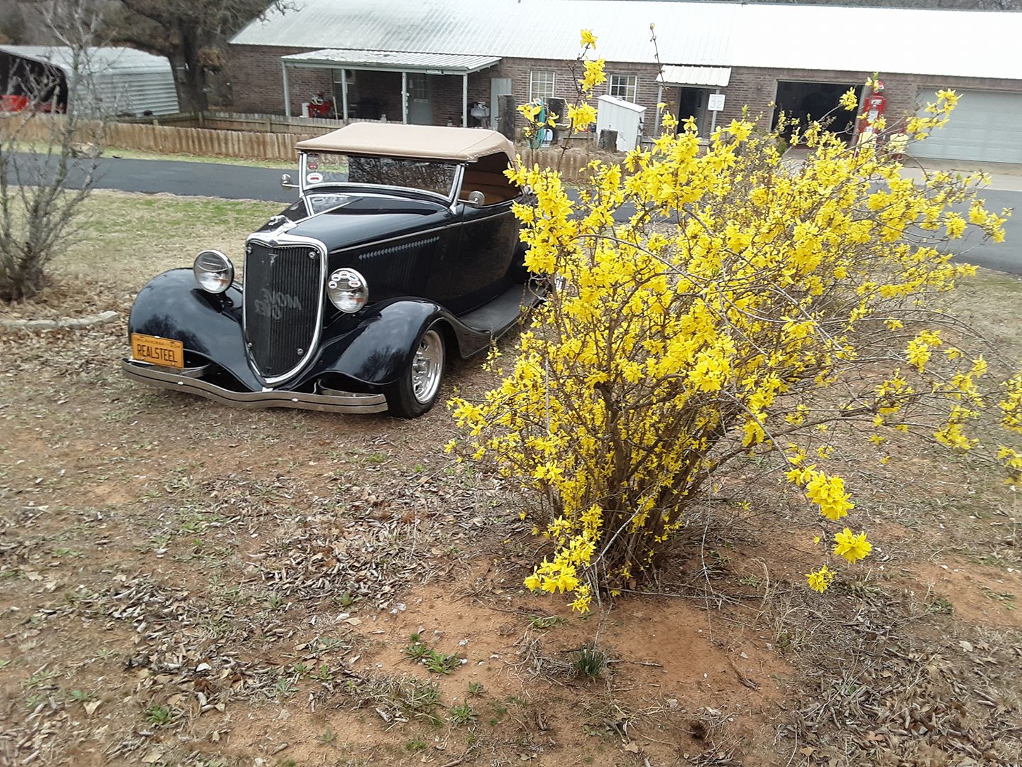 Spring has sprung 3 7 23.jpg