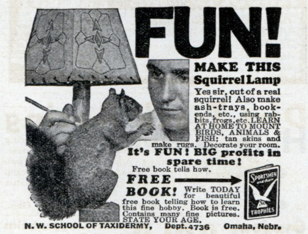 Squirrel lamp.jpg