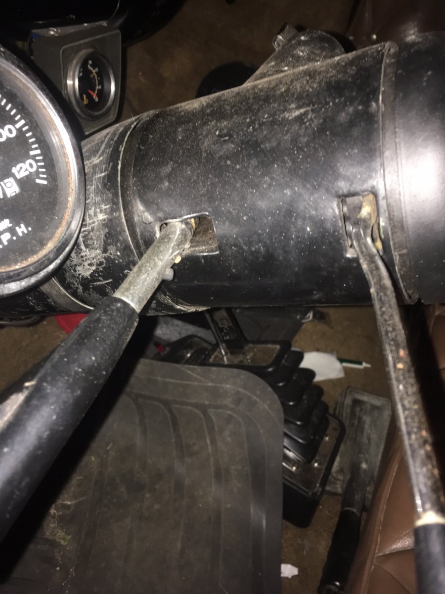 steer4.JPG