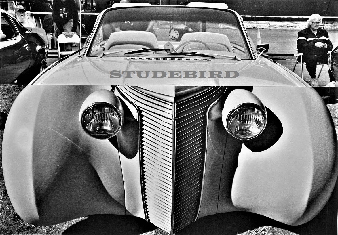 studebird.jpg