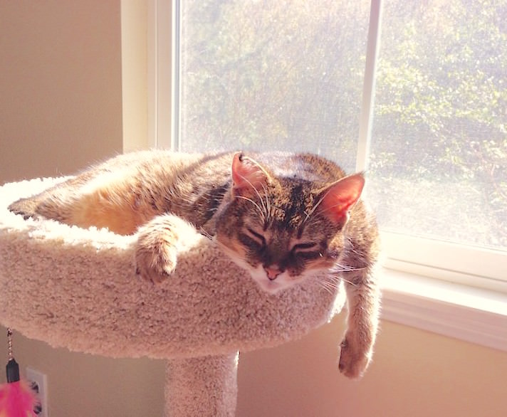 sunbathchausie.jpg
