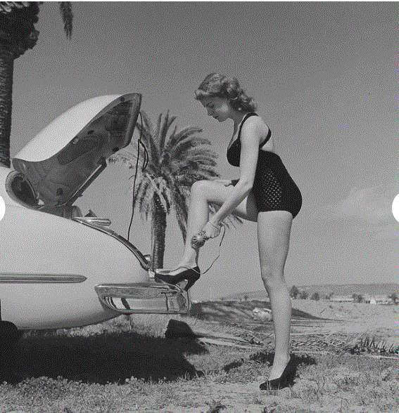 Sunshine2.GIF