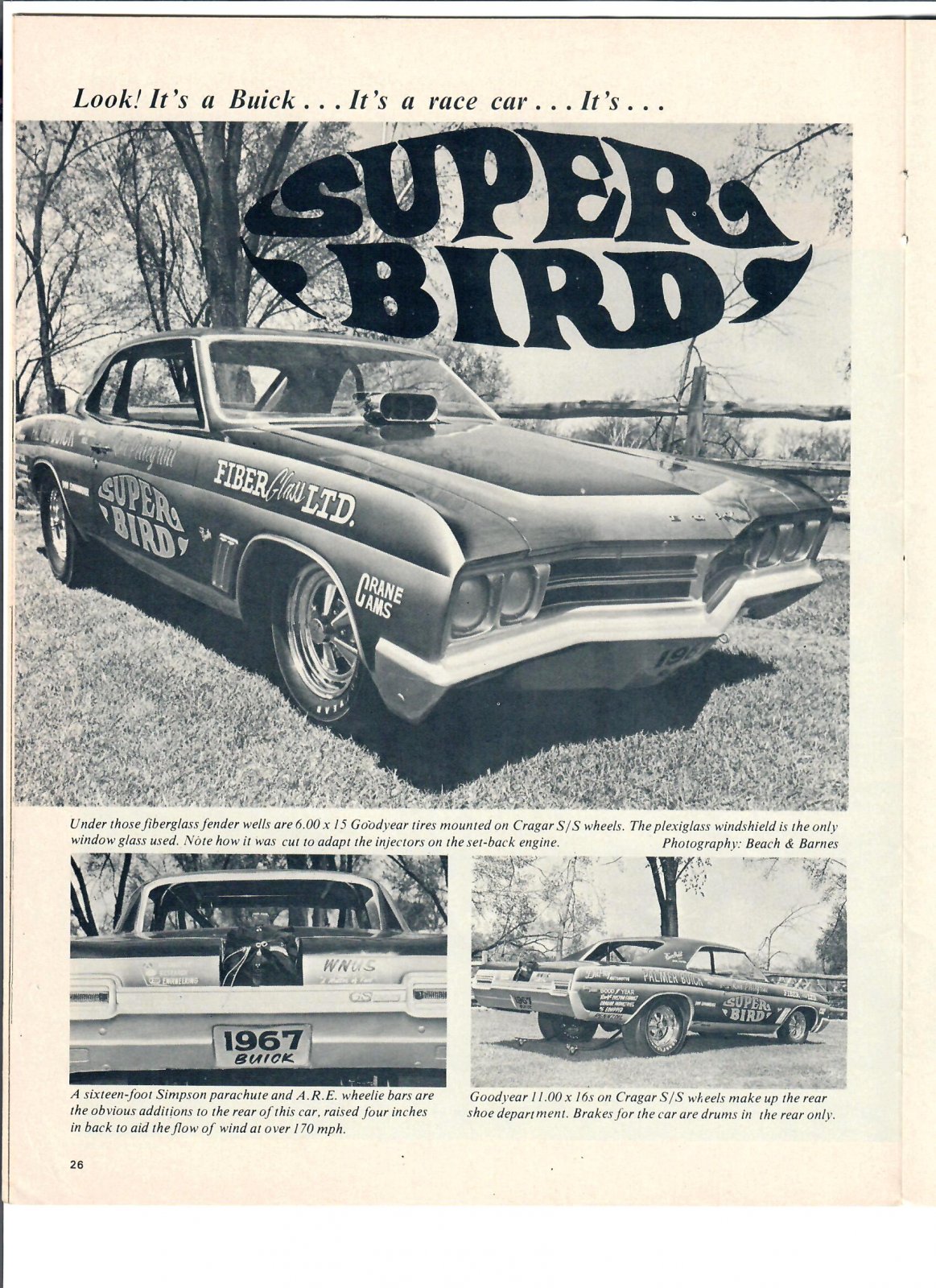 super bird.jpg