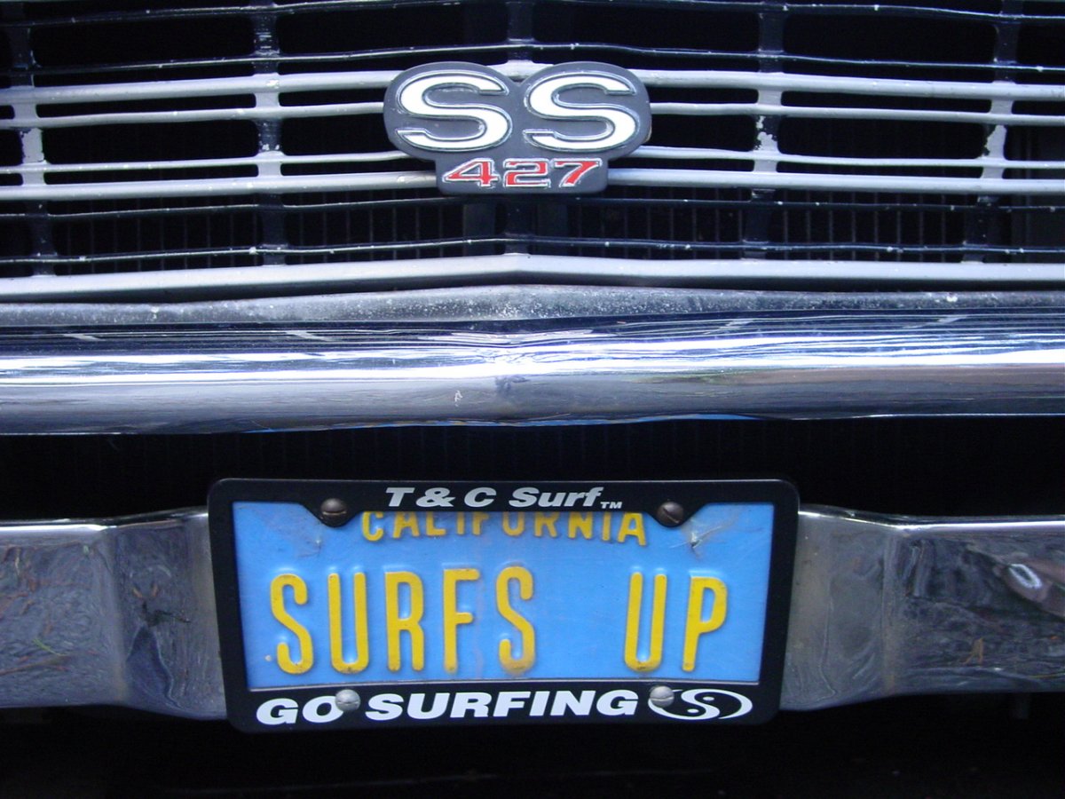 Surfs Up.JPG