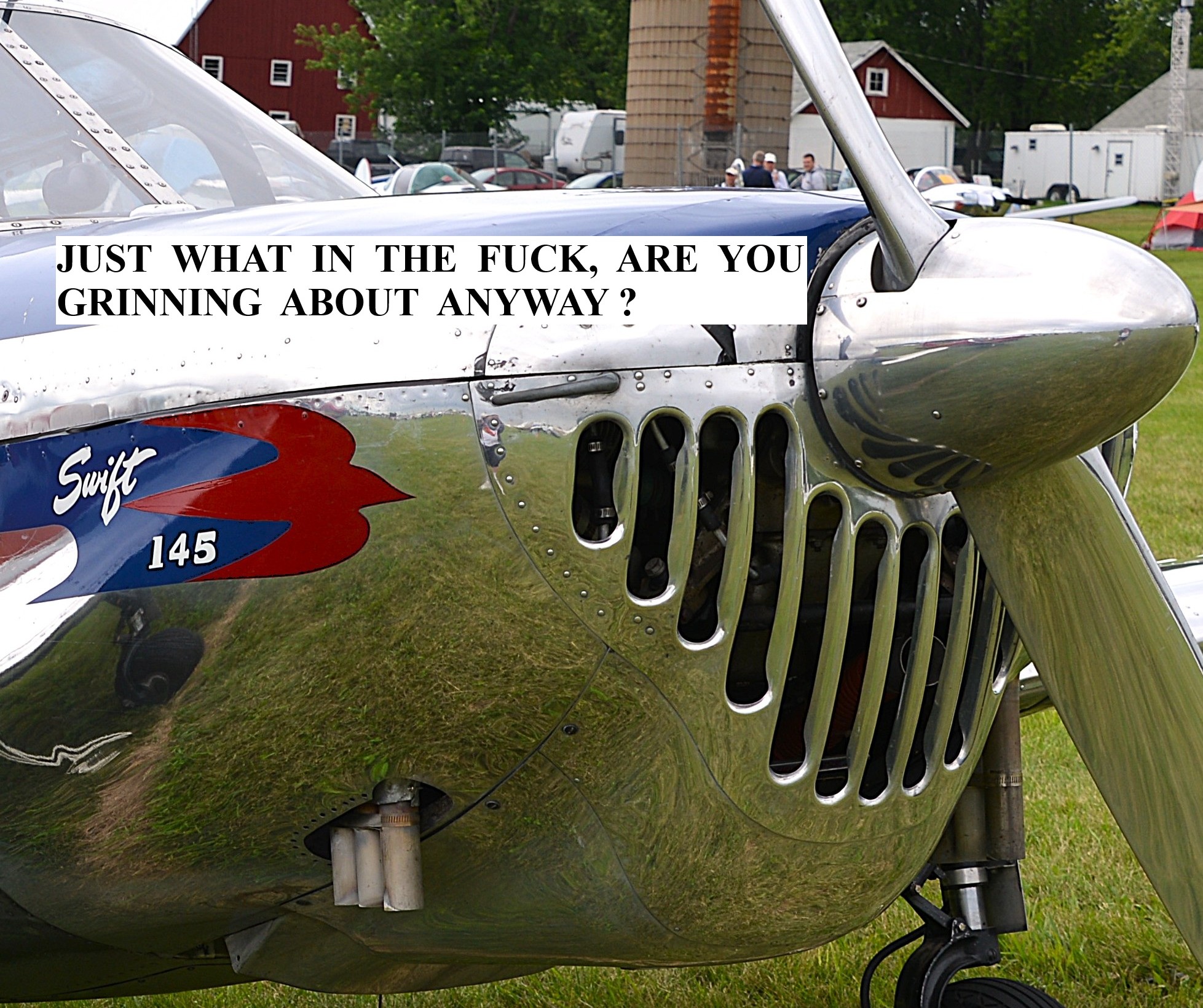 swift grin.JPG
