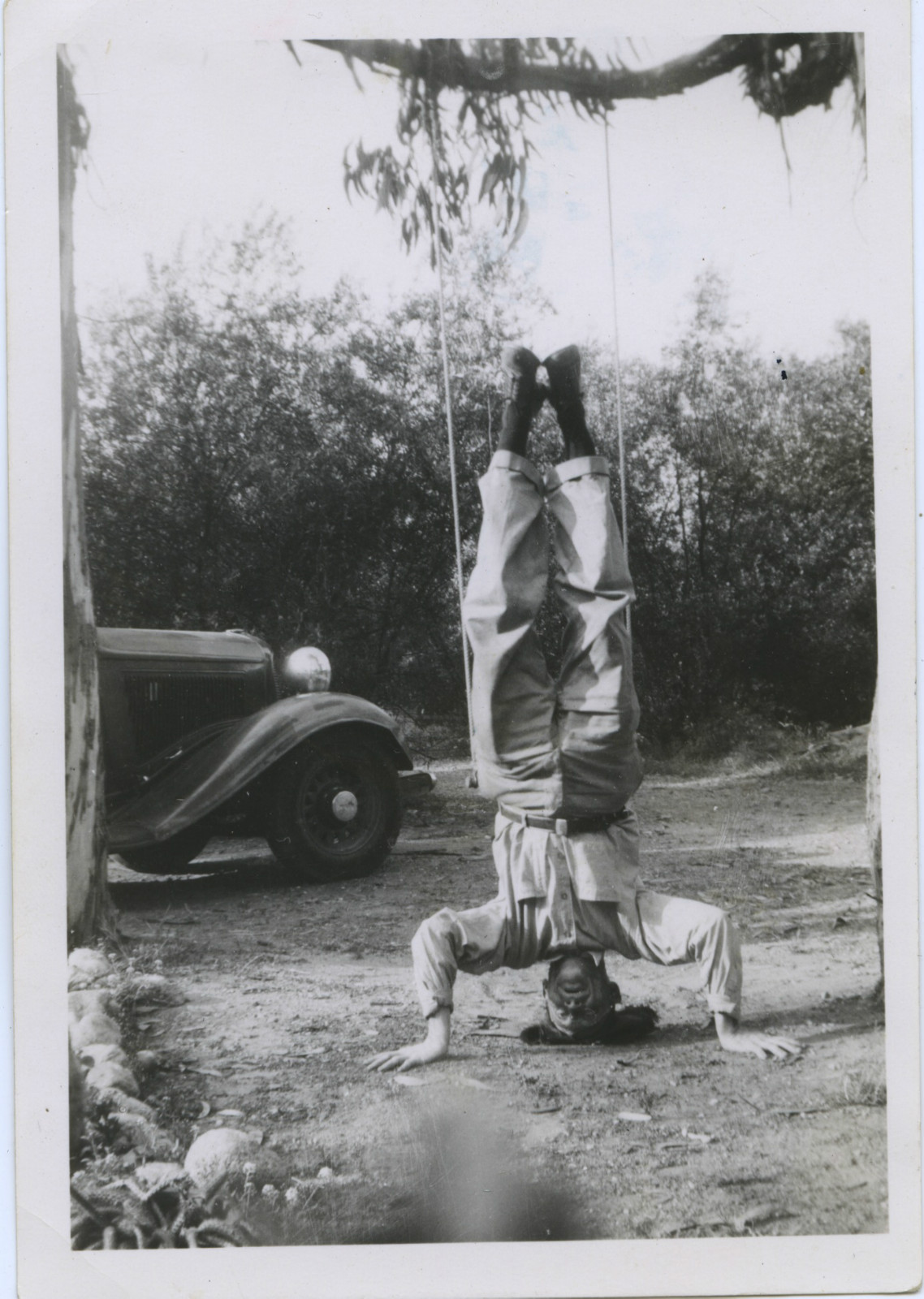 swinger.jpg