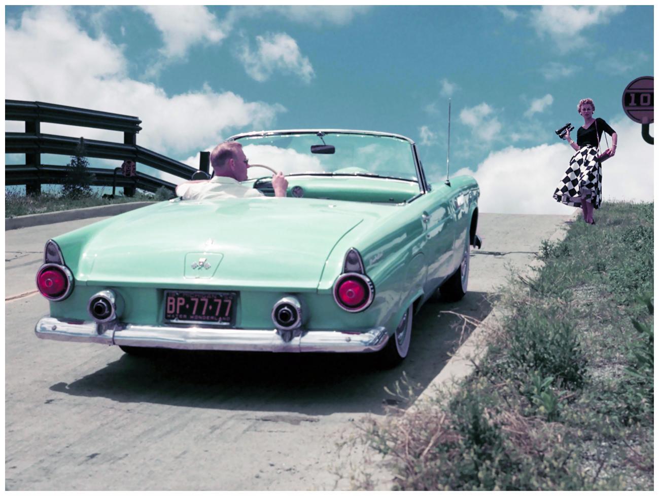 t bird.jpg