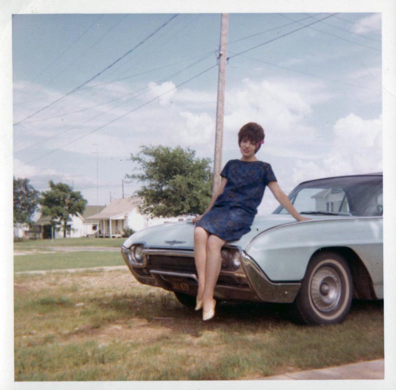 t bird.jpg