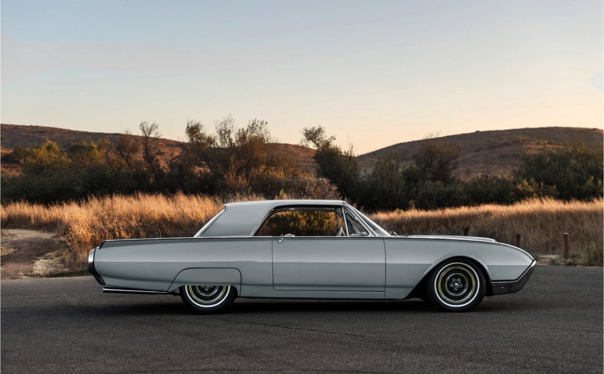 T BIRD.jpg