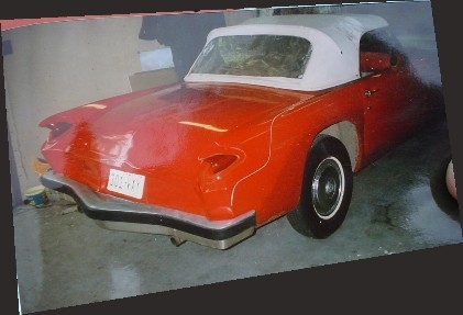 t bird rear.jpg