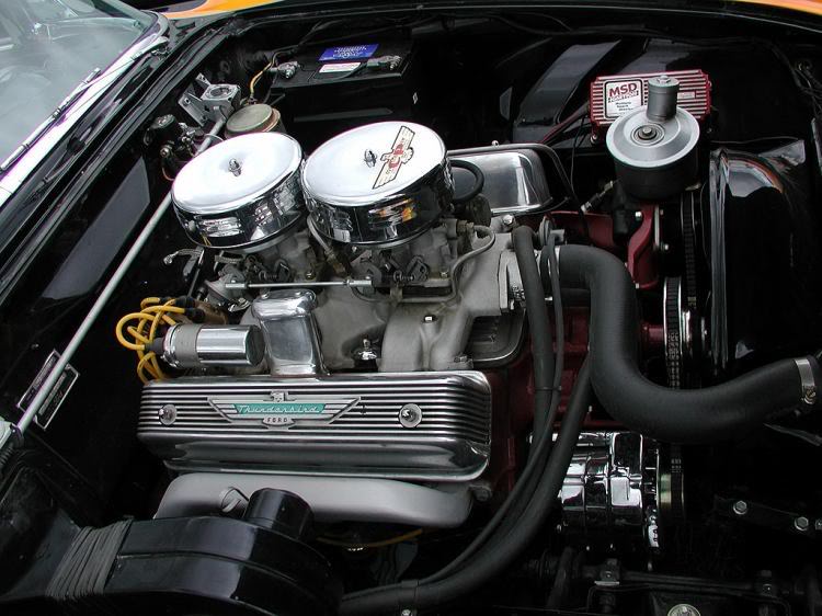 T bird Y.jpg
