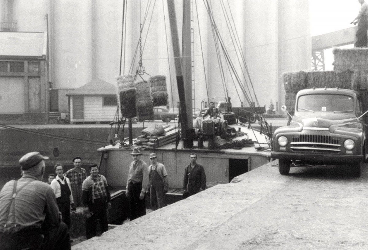 t-R 1958.jpg