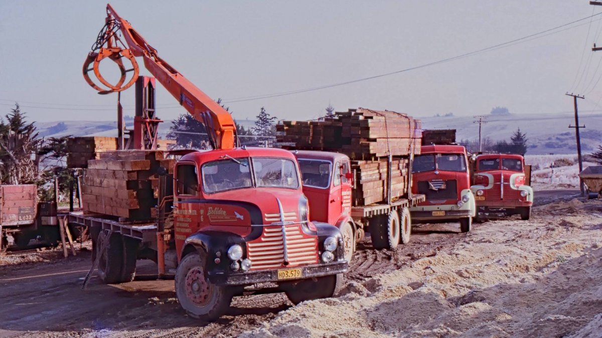 Tapanui early 60s color.jpg