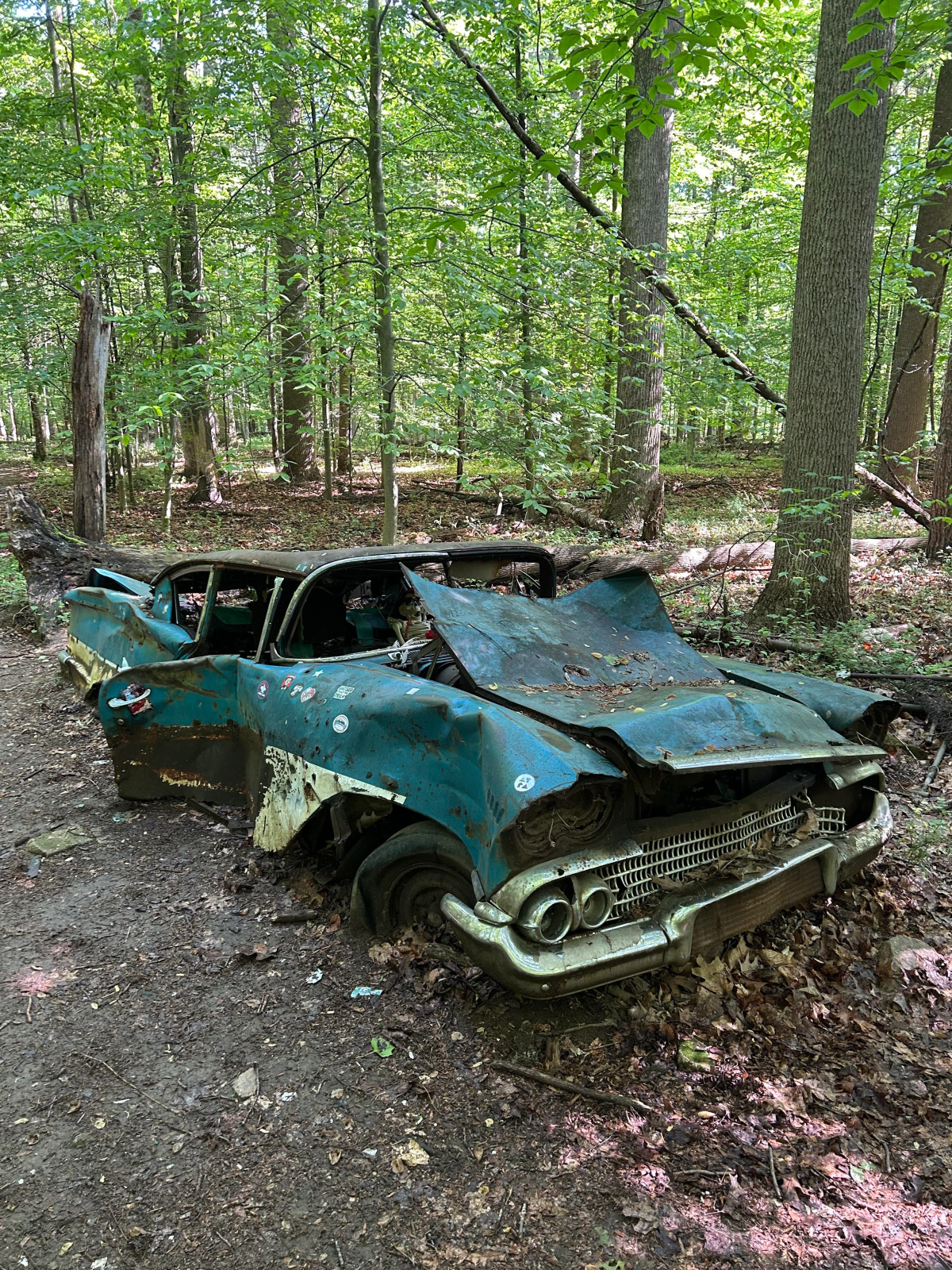 the-abandoned-1958-bel-air-i-came-across-in-the-woods-v0-6rar676qy31b1.png