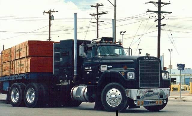The original dodge big horn.jpeg