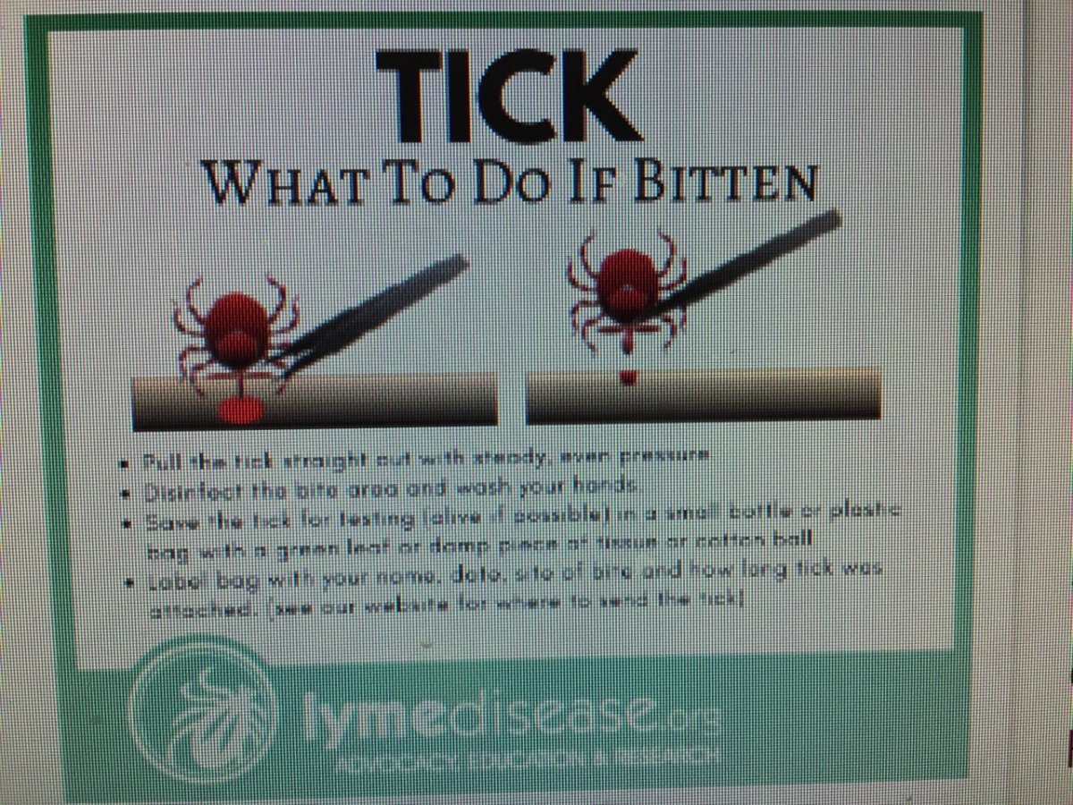 Tick Bite.jpg