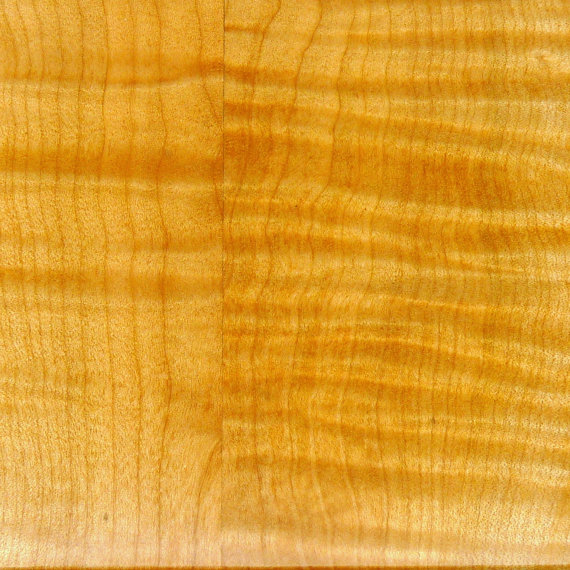 tiger maple.jpg