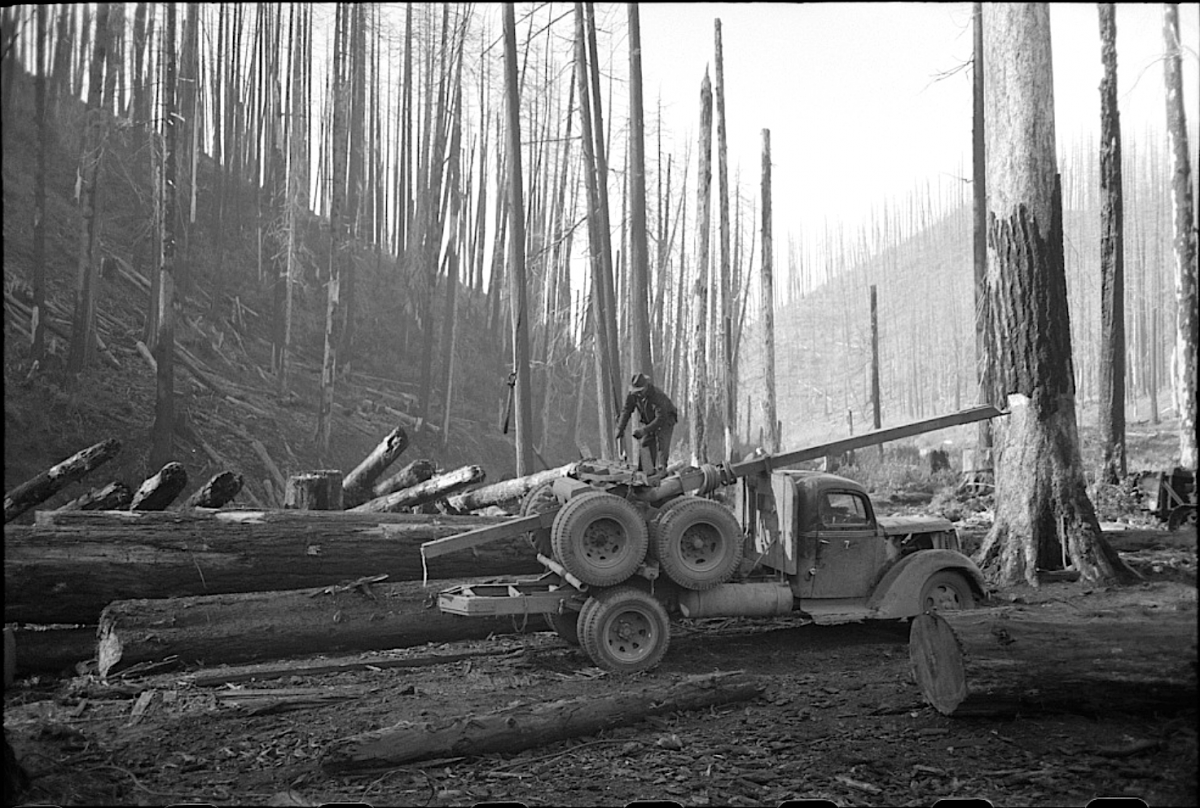 TillamookCoOR41 2.png